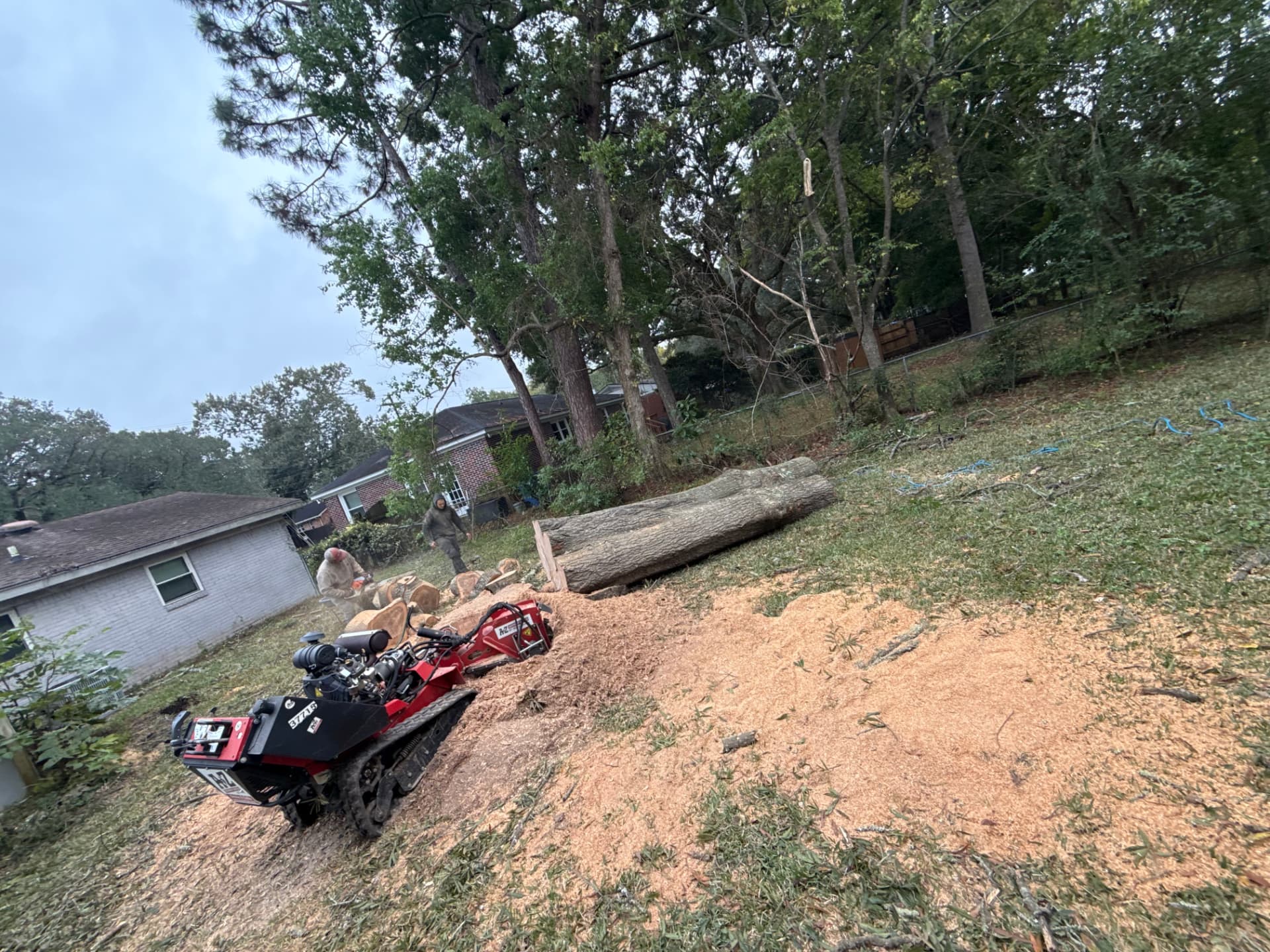 Stump Grinding